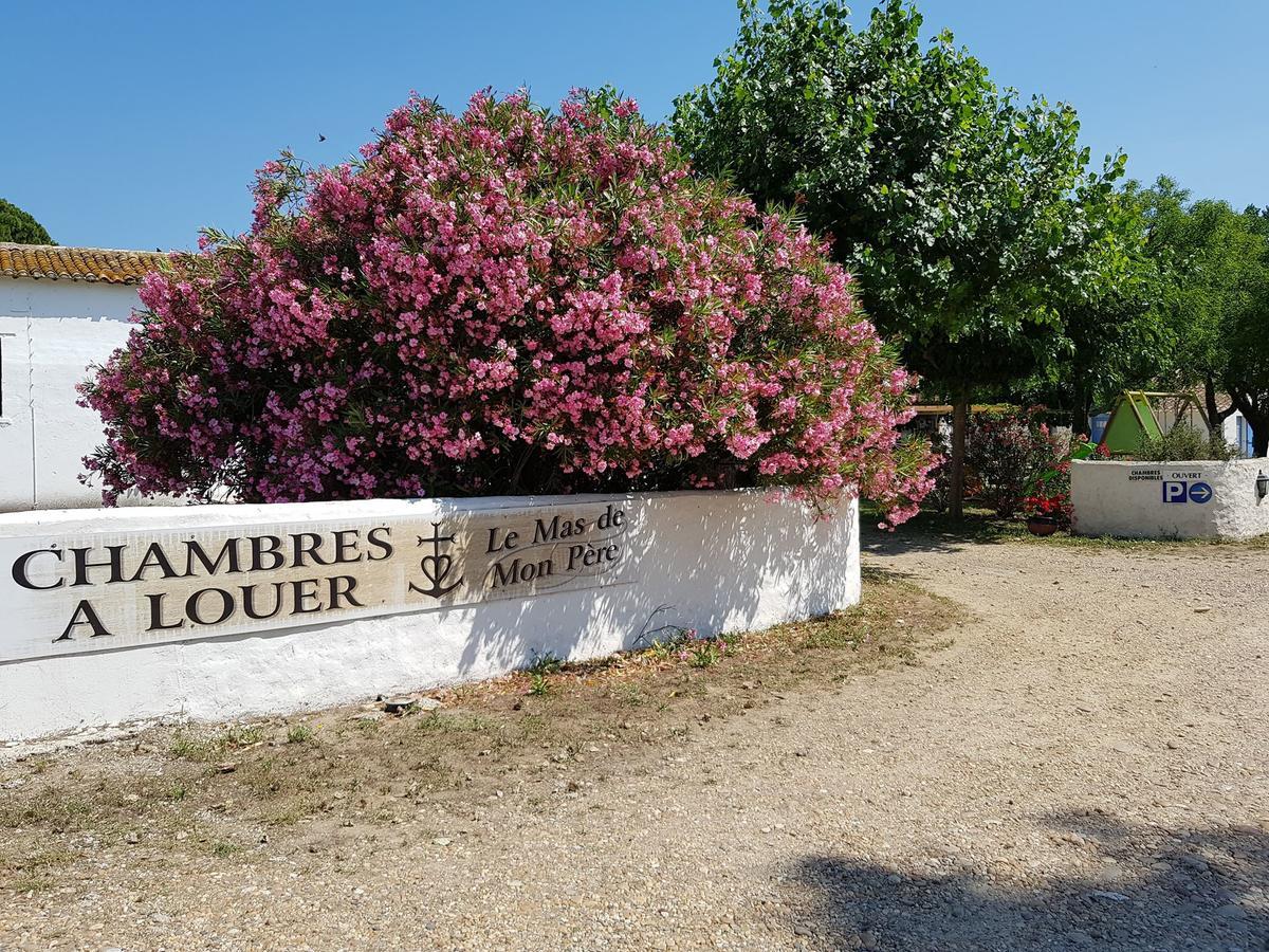 Le Mas De Mon Pere Saintes-Maries-de-la-Mer Kültér fotó